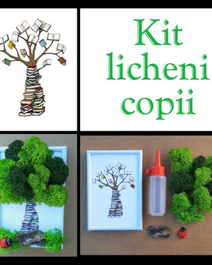 Kit copii cu licheni