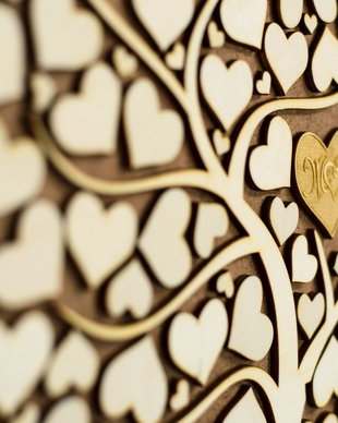 Guestbook din lemn,GB1003