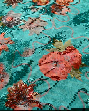 pareo turcoaz cu flori