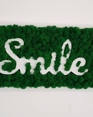 Tablou Smile cu licheni