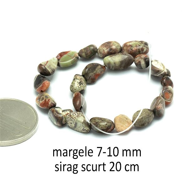 Sirag scurt, Agate Crazy, SGS-15