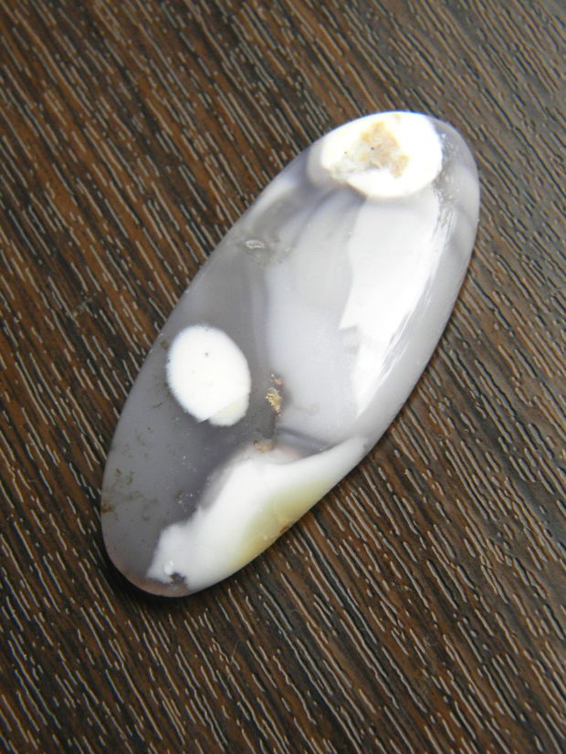 Caboson opal dendritic (COD)