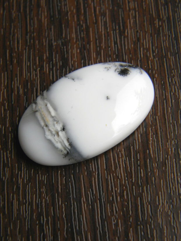 Caboson opal dendritic (COD)