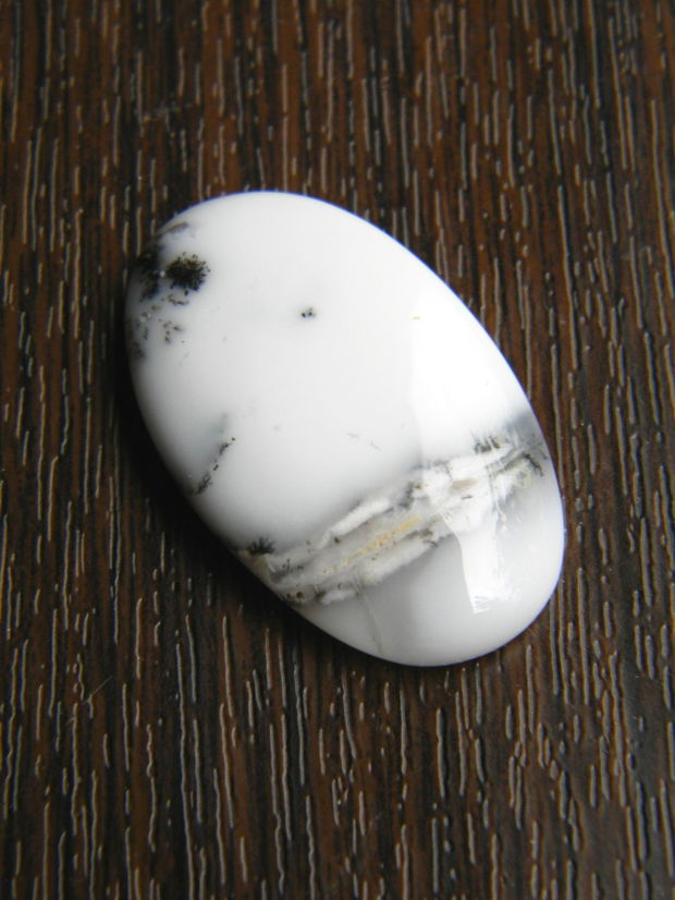 Caboson opal dendritic (COD)