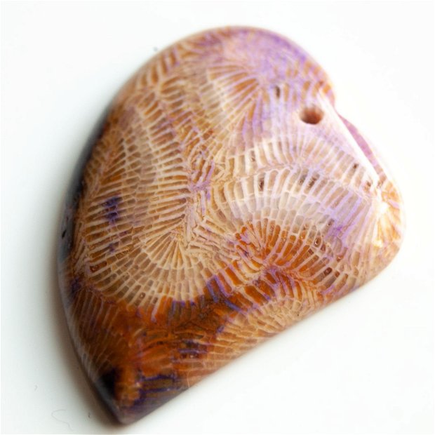 Pandant coral fosil W5372