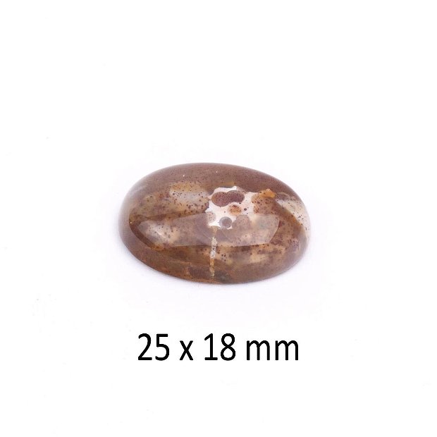 Cabochon Jasper agatizat, 25 x 18 mm, A520