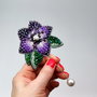 Rezervat Brosa- Purple Flower