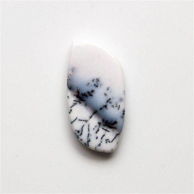 Cabochon  opal dendritic - OP10