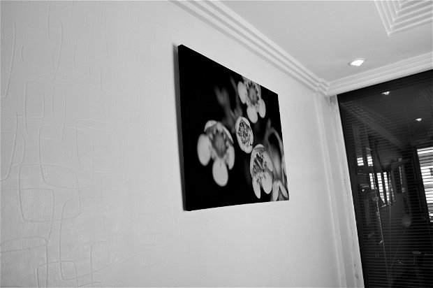 TABLOU CANVAS - BLACK AND WHITE FLOWER