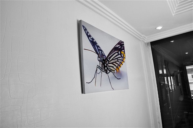 TABLOU CANVAS - BUTTERFLY