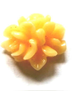 2 trandafiri galbui