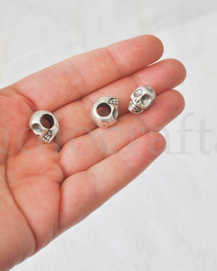 Distantier skull