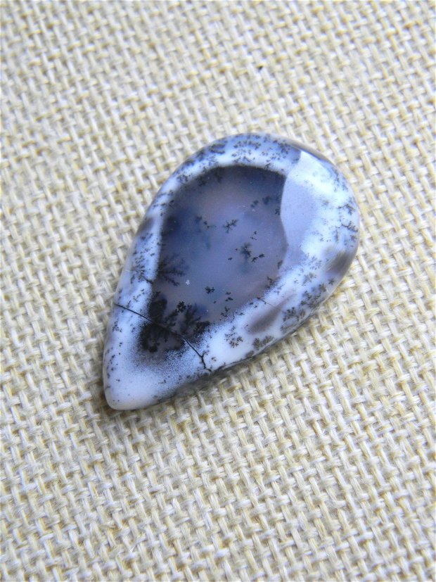 Caboson opal dendritic (AV4)
