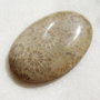 Cabochon masiv din coral fosil (provenienta America) aprox 45x30x6.5 mm