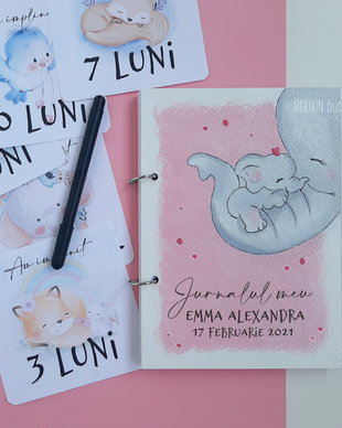 Jurnalul bebelusului personalizat cu nume pictat manual