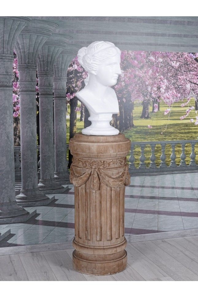 Bustul zeitei Venus