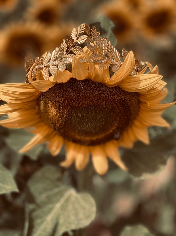 Coroana Lana cu frunze aurii