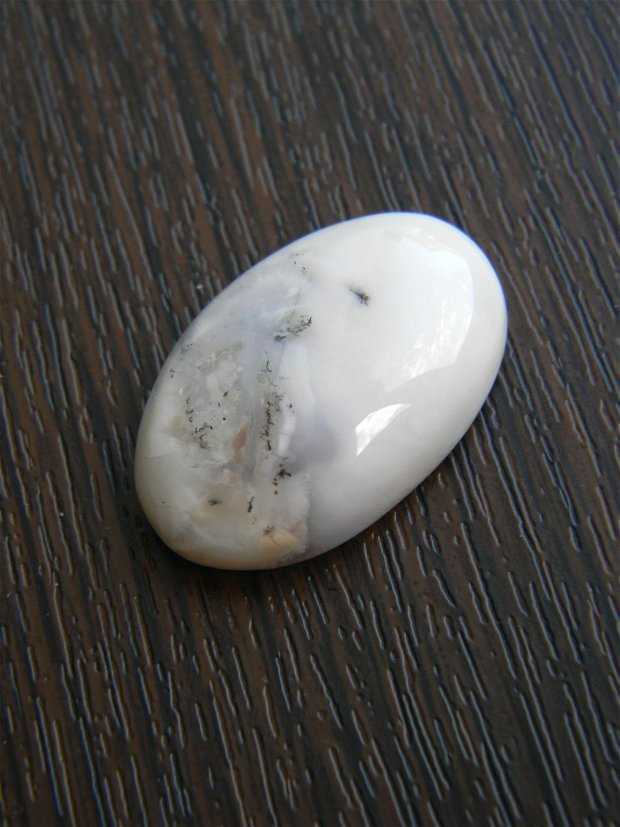 Caboson opal dendritic (C60)