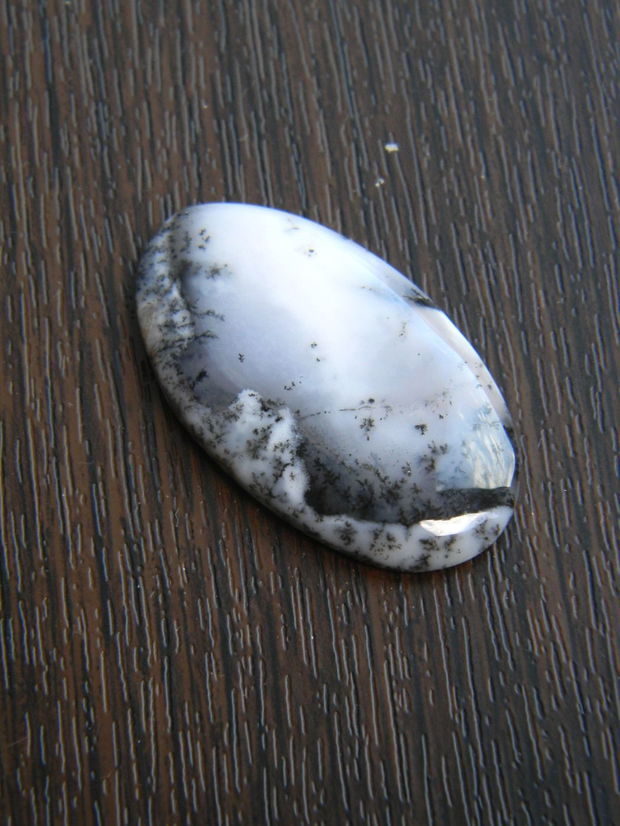 Caboson opal dendritic (C60)