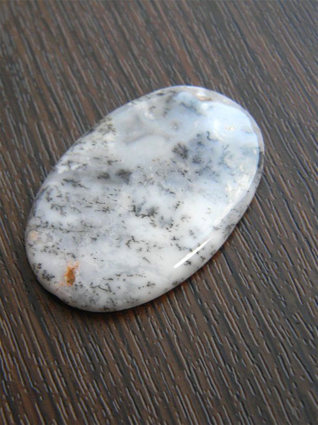Caboson opal dendritic (C60)