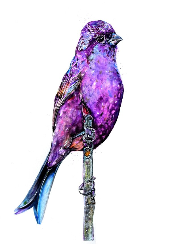 Purple Bird- Tablou, Pictura Originala in Acuarela - Birds Collection
