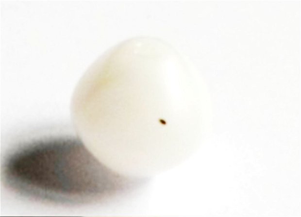 Margele sticla rondele ovale alb 10 mm