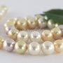 Perle seashell 10mm, cod ID5 (1)