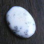 Caboson opal dendritic (C51)