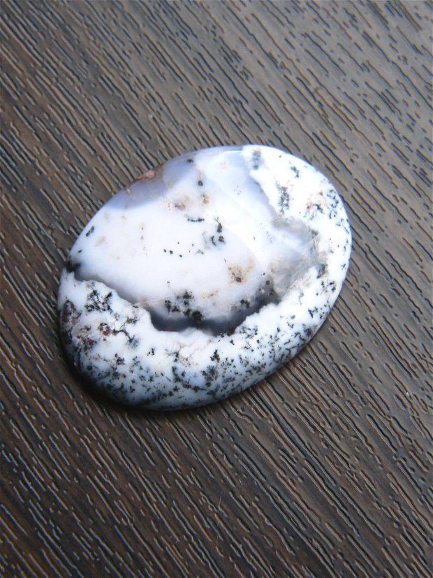 Caboson opal dendritic (C51)