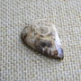 Caboson root plume agat (CR2)