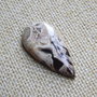 Caboson root plume agat (CR2)