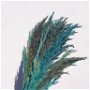 Pampas Grass uscat și stabilizat, albastru-60 cm,15 fire