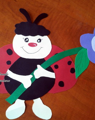 Decoratiune pavoazare clasa