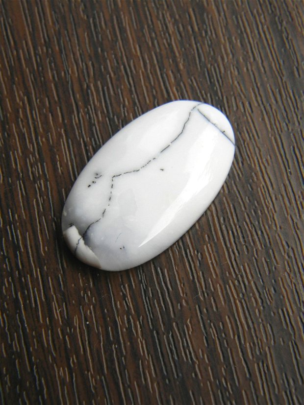 Caboson opal dendritic (AV3)