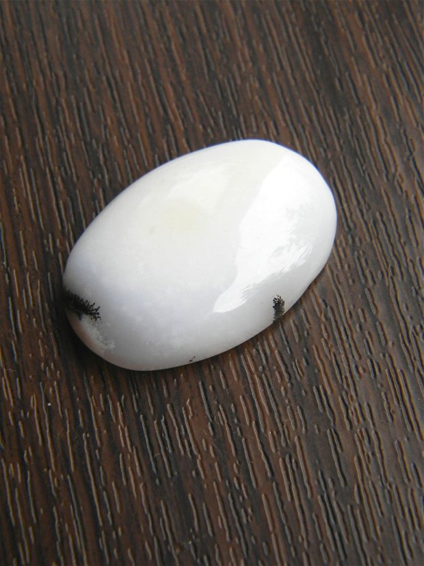 Caboson opal dendritic (AV5)