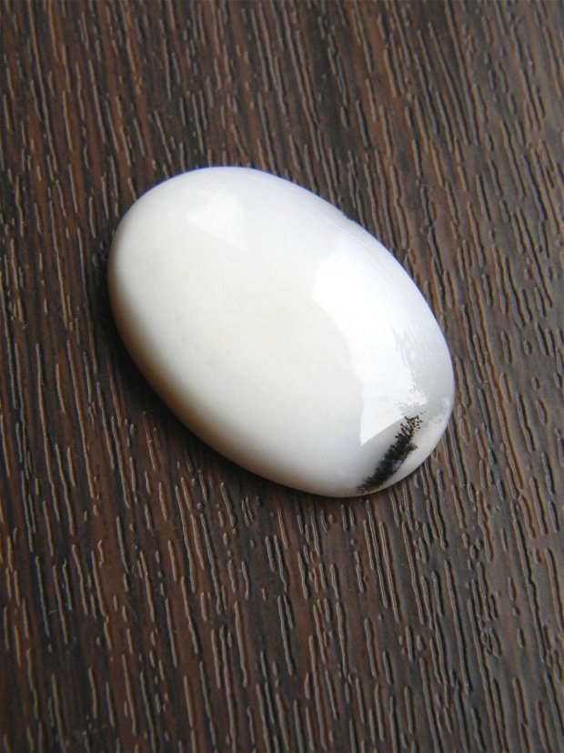 Caboson opal dendritic (AV5)