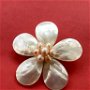 Brosa floare paua shell & perle de cultura