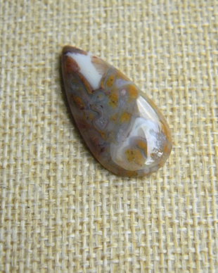 Caboson palm root agat (AV8)