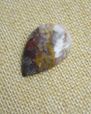 Caboson palm root agat (AV8)