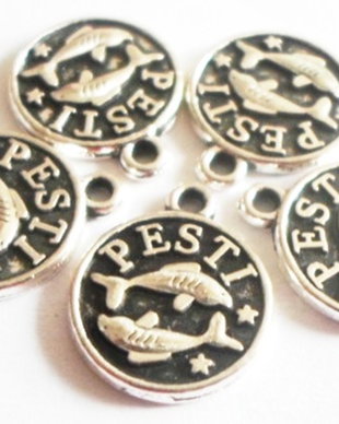 Charm banut zodiac Pesti argintiu cu negru