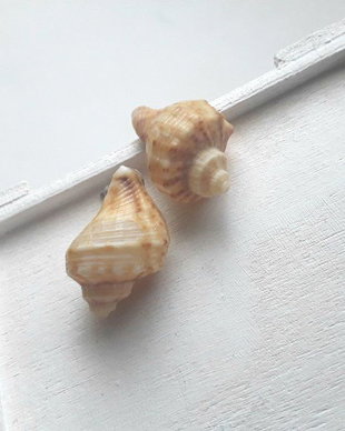Cercei scoici naturale