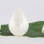 Perle seashell 16x21-22mm, semigaurite (1)