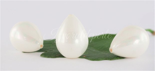 Perle seashell 16x21-22mm, semigaurite (1)