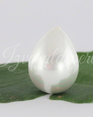 Perle seashell 18x14mm, semigaurite (1)