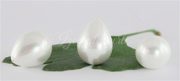 Perle seashell 18x14mm, semigaurite (1)