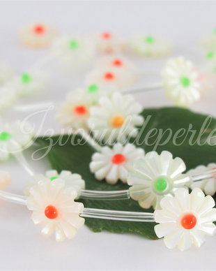 Sidef 11.5-12x4mm (1)