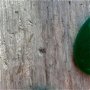 Cabochon jad verde, 40x30 mm