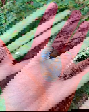 Inel Opal dendritic tigru si Argint 925 - IN1002 - Inel supradimensionat reglabil, inel cadou, inel pietre semipretioase, cristale vindecatoare, cristale de colectie