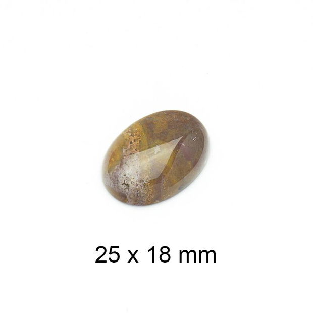 Cabochon Jasper agatizat, 25 x 18 mm, A674