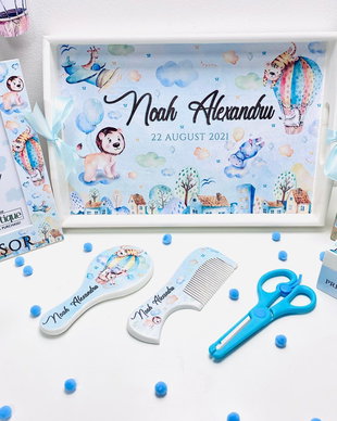 Set mot - Baby Animals Dream World